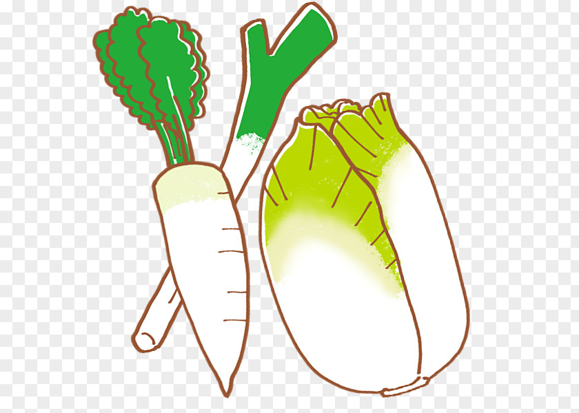 Legume Leaf Vegetable Plant PNG