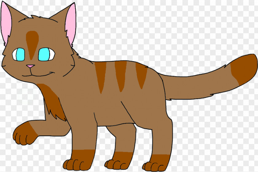 Abyssinian Kitten Cat And Dog Cartoon PNG