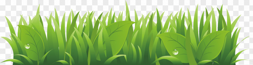Cartoon Grass Background PNG grass background clipart PNG