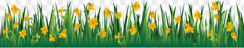 Grass Image, Green Picture Flower Garden Clip Art PNG