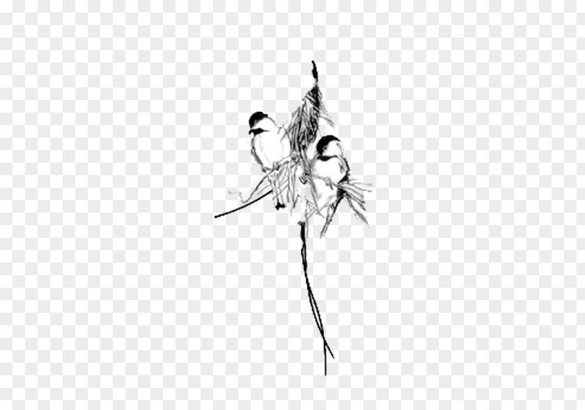 Jane Sparrow Pen Bird Flight Black And White Eurasian Tree PNG