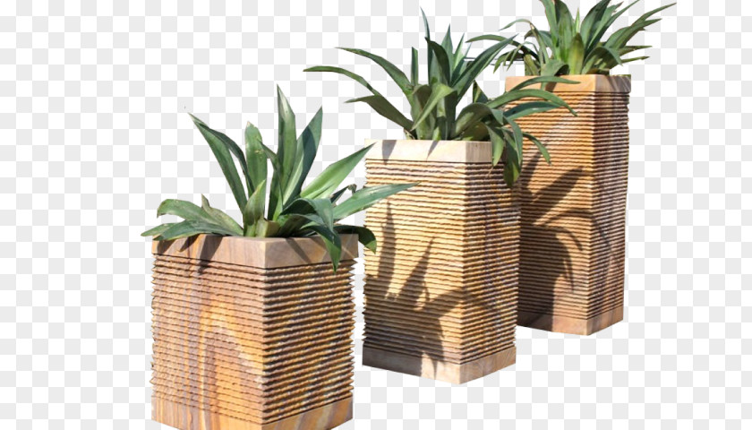 Japanese Vase Flowerpot Pineapple PNG