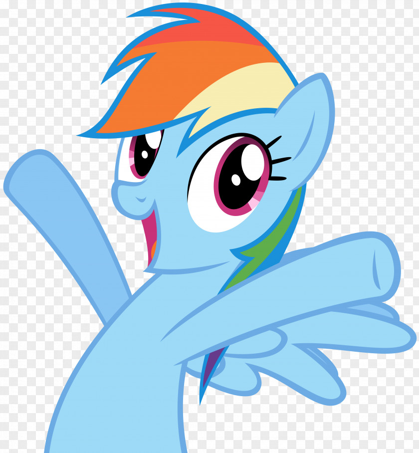 My Little Pony Rainbow Dash Fluttershy PNG