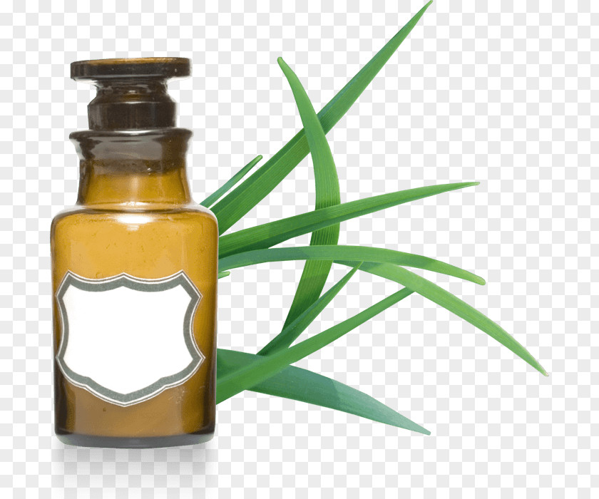 Oil Organic Food Essential Cymbopogon Citratus Martinii PNG