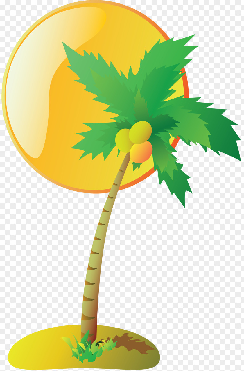 Plane Coconut Tree Drawing PNG