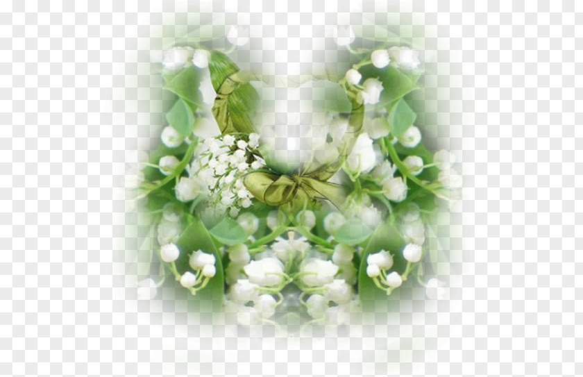 Separadores 1 May Blog Lily Of The Valley Floral Design PNG
