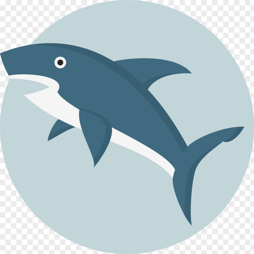 Sharks Shark Tooth PNG