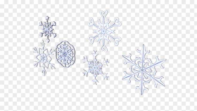 Snowflake Line Point Tree Pattern PNG