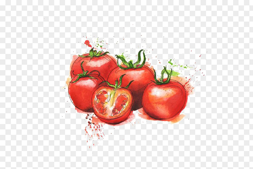 Watercolor Tomato Juice Italian Cuisine Organic Food Purxe9e Tesco PNG
