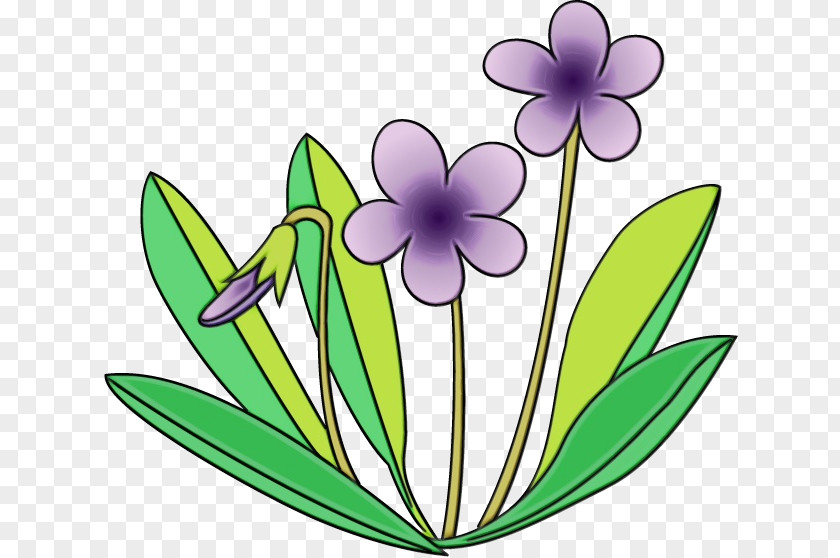 Wildflower Flowering Plant Clip Art Flower Petal PNG