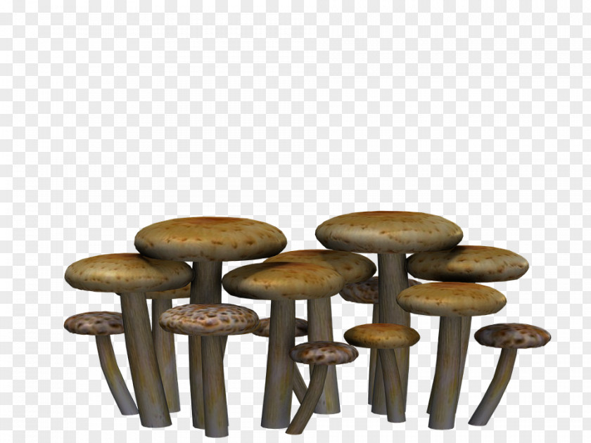 Fantasy Mushroom Fungus PNG