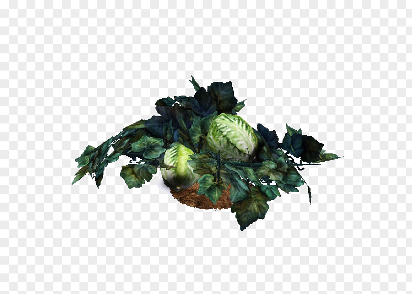 Leaf Tree Family Film PNG