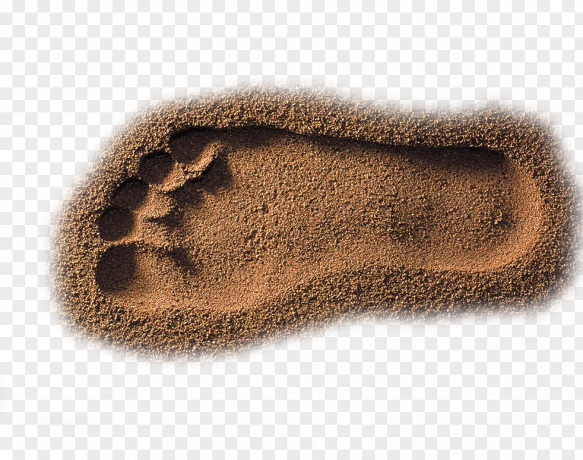 Nice Beach Footprints Sand PNG