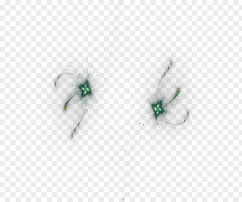 Sloe Earring Green Close-up Turquoise PNG