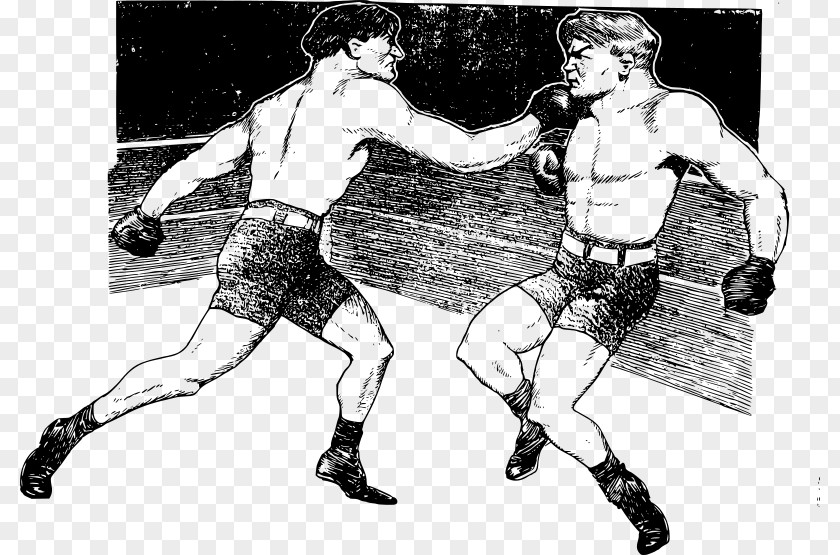 Boxing Sport Clip Art PNG