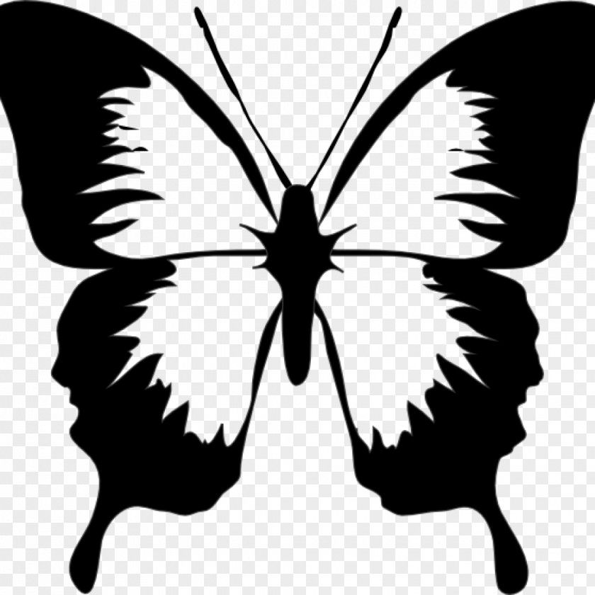 Butterfly Clip Art Vector Graphics Image Free Content PNG