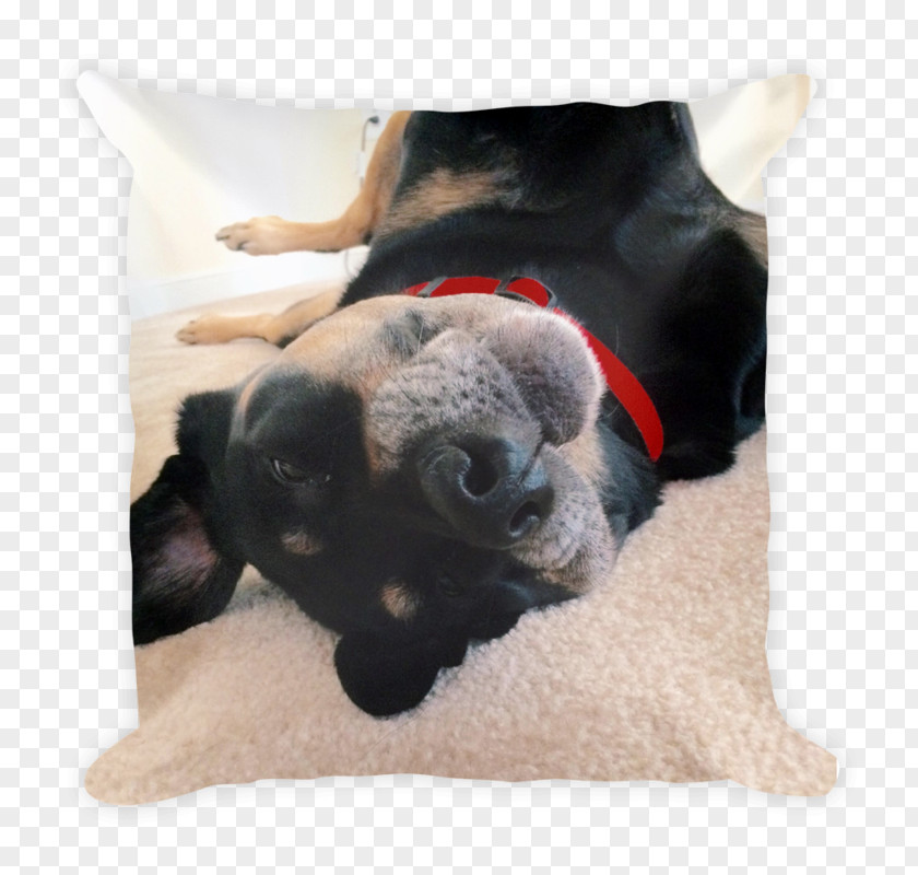 Pillow Dog Breed Pug Throw Pillows Cushion PNG