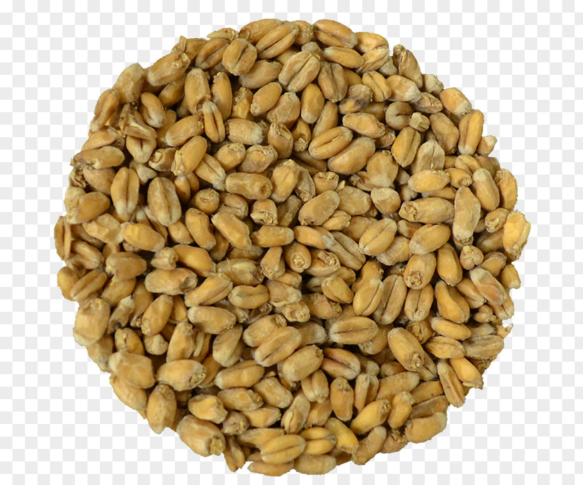 Wheat Grains Cereal Beer Vegetarian Cuisine Weyermann Malting Company PNG