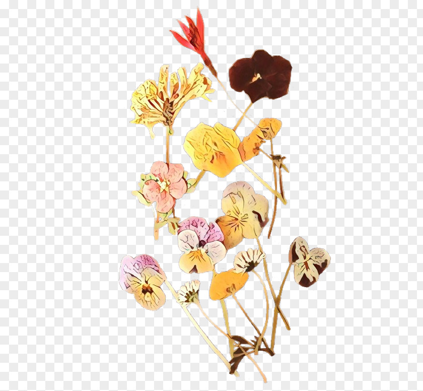 Wildflower Pedicel Floral Flower Background PNG