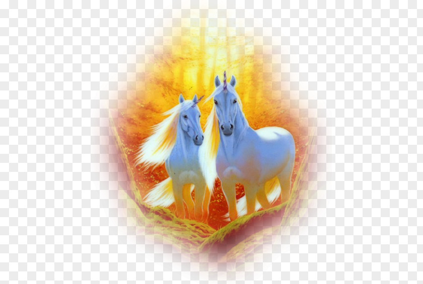 Horse Party Birthday Unicorn Parchment PNG