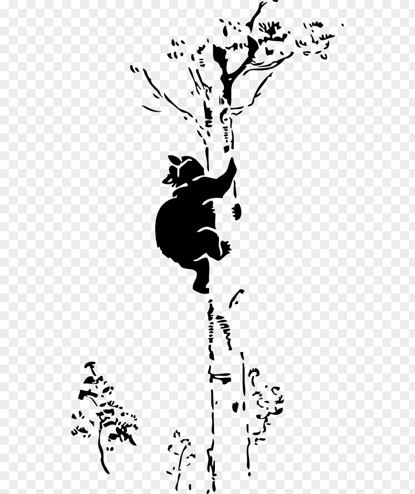 Bear American Black Giant Panda Koala Clip Art PNG