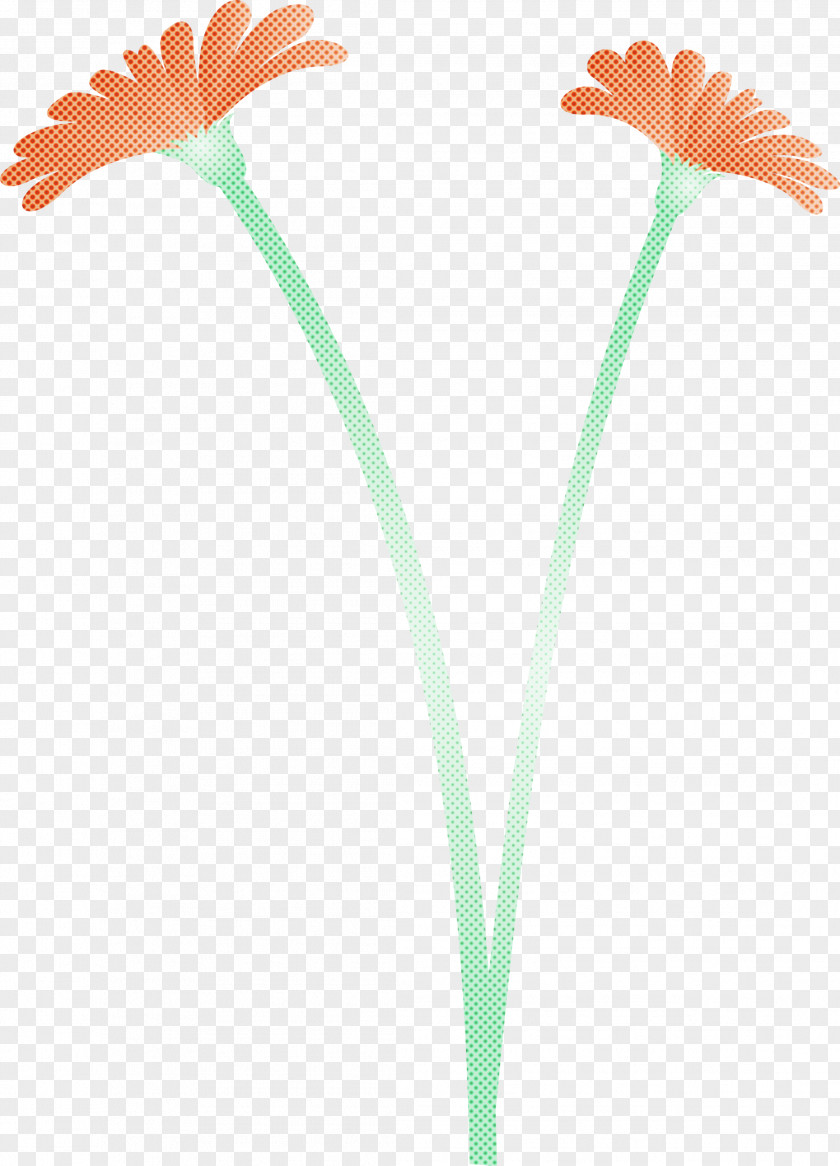 Dandelion Flower PNG