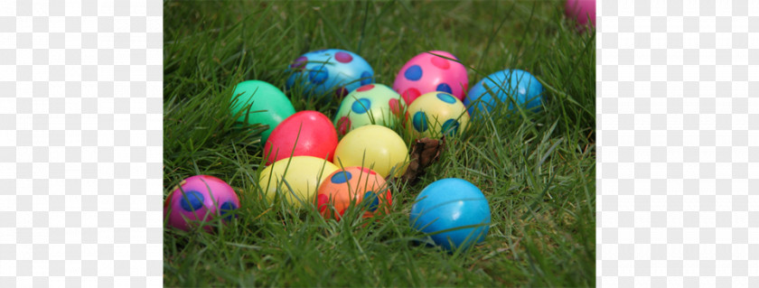 Egg Hunt Easter Bunny Bilby PNG