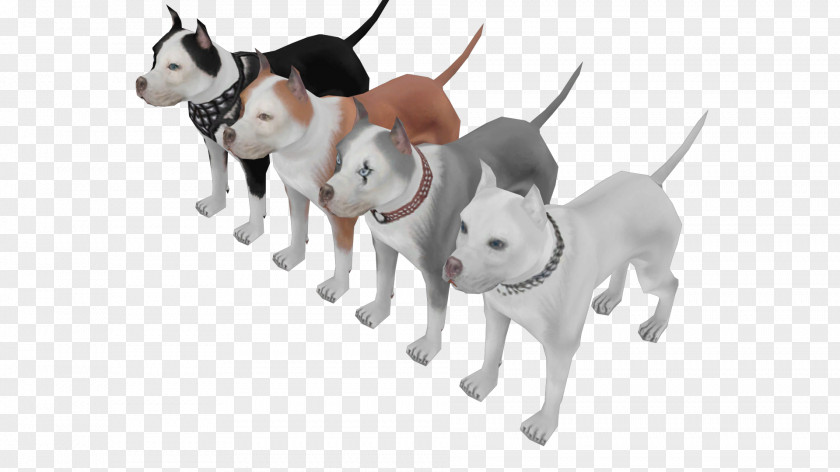 Pitbull Dog Breed American Pit Bull Terrier San Andreas Multiplayer Grand Theft Auto: PNG