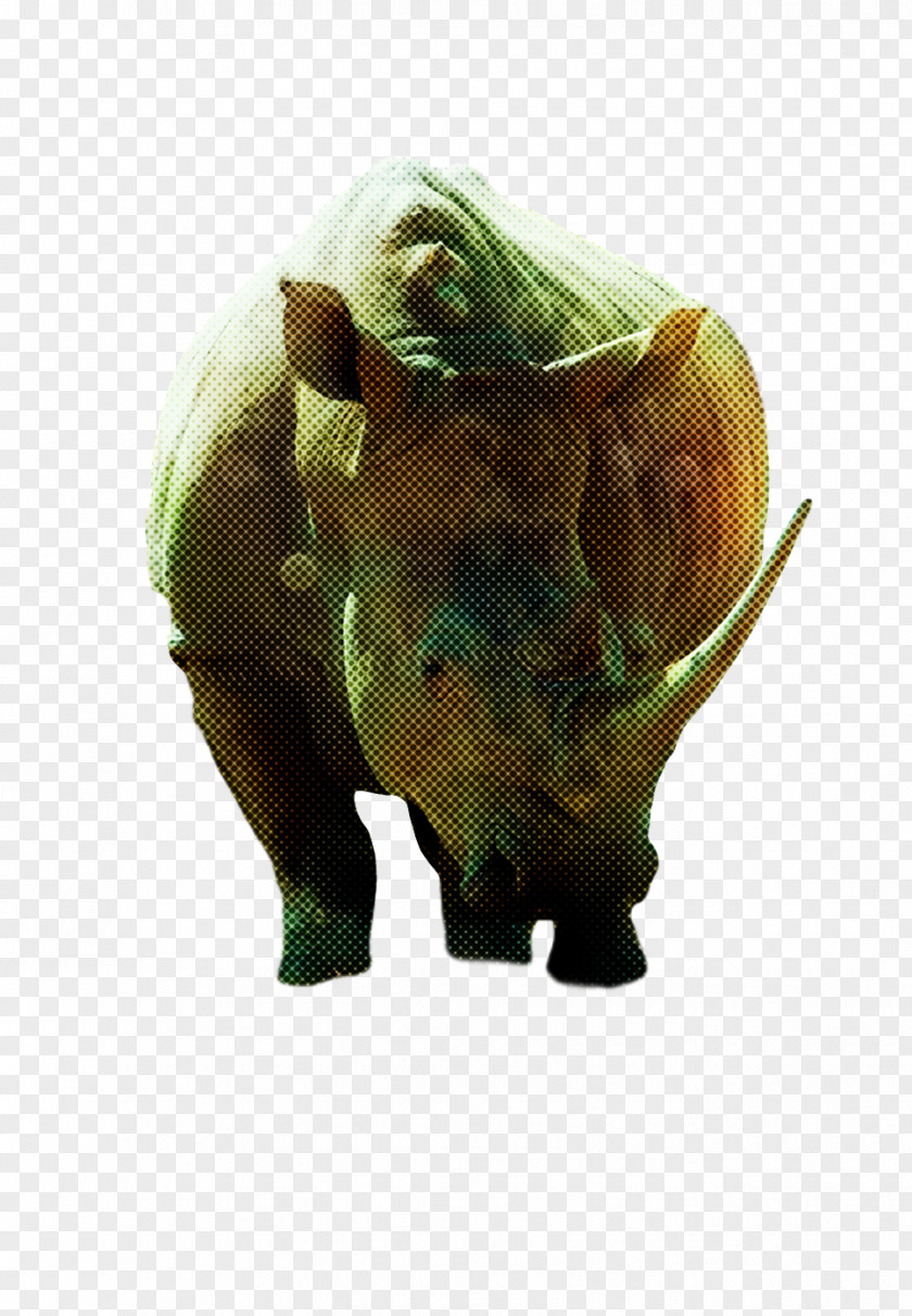 Snout Rhinoceros Golden Retriever Labrador Horn PNG