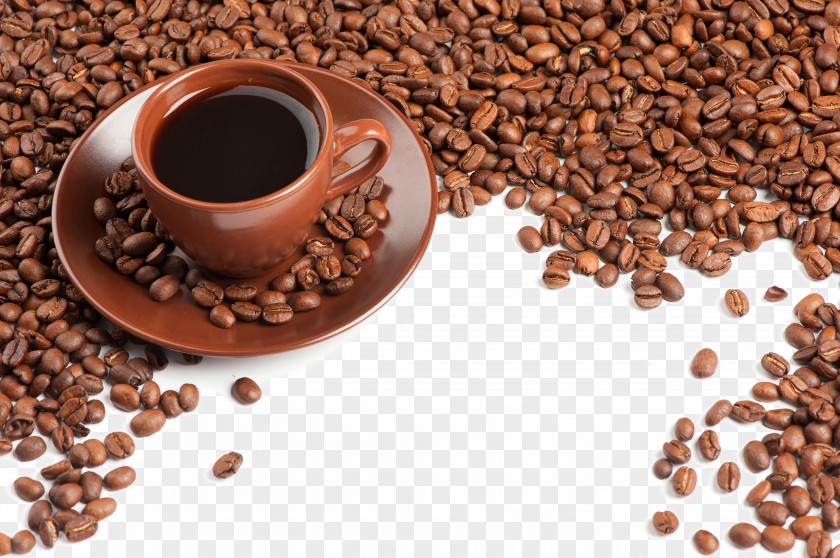 Coffee Beans Photo PNG beans photo clipart PNG
