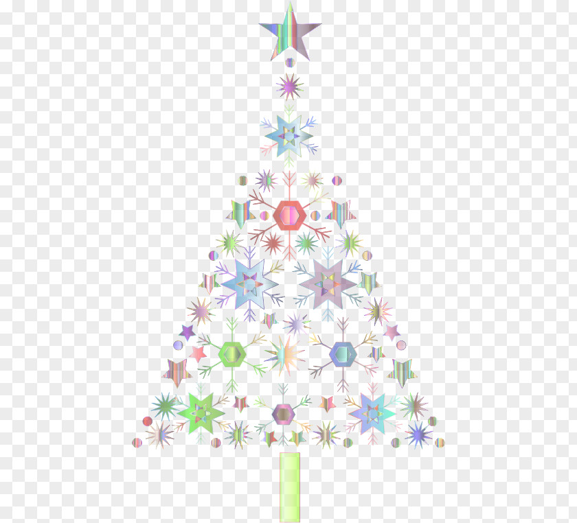 Conifer Pine Christmas Tree PNG