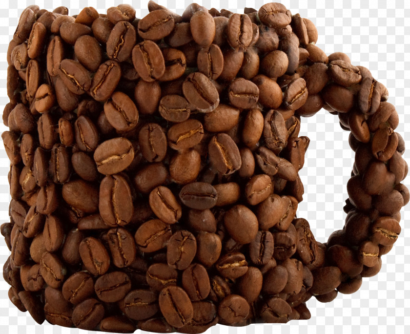 Cup Model Material Software Engineering Concepts Amazon.com Development PNG