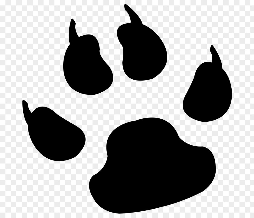 Dog Paw Tiger Clip Art PNG
