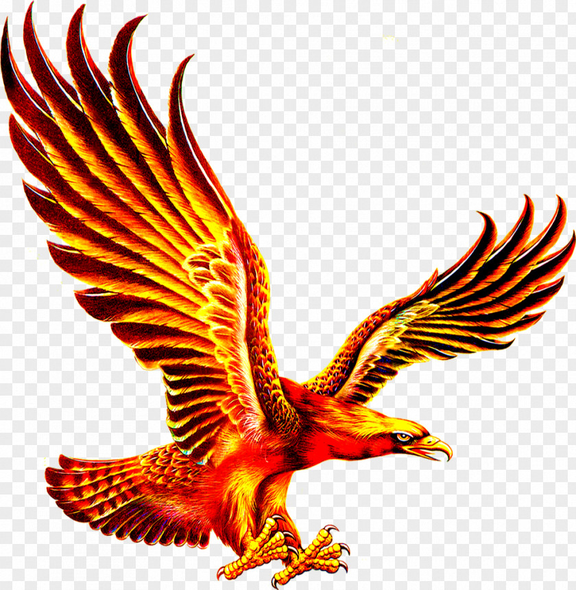 Gold Hand Painted Eagle Chinese Zodiac Download Computer File PNG