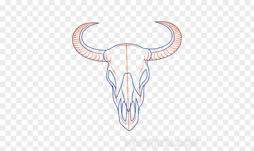 Line Cattle Jaw Clip Art PNG