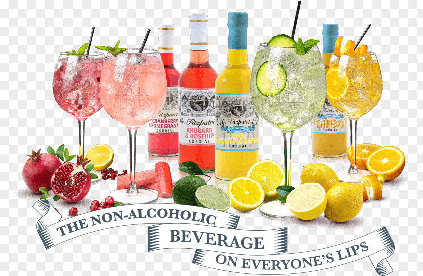 Non Alcoholic Beverage Cocktail Garnish Spritz Wine Fizzy Drinks PNG