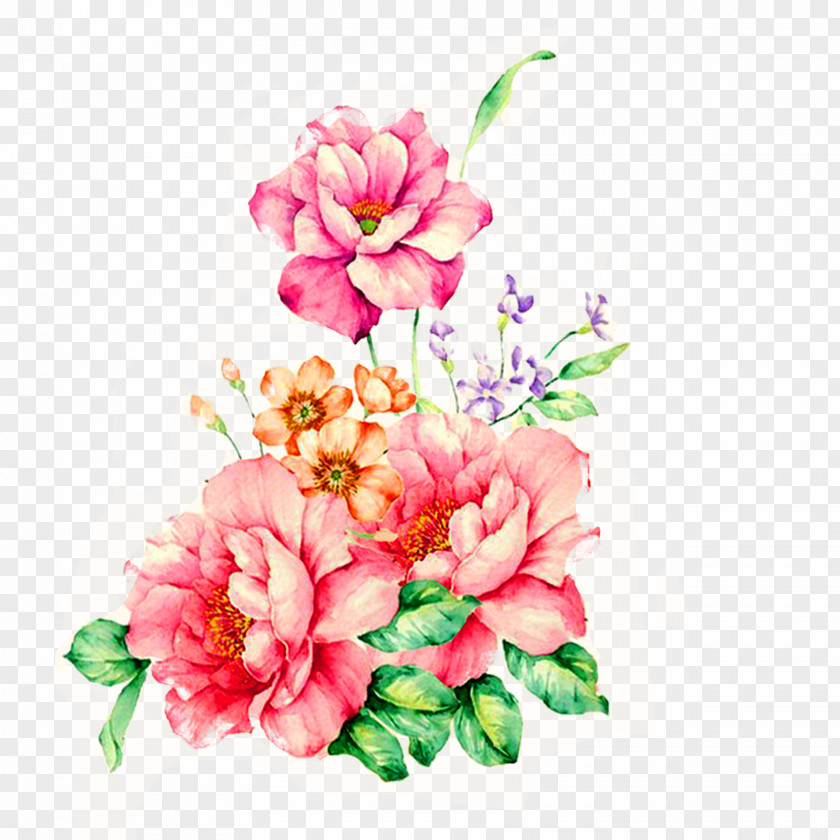 Peony Painting Pink Flowers Watercolor PNG
