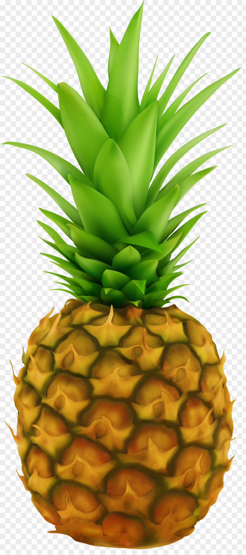 Pineapple Fruit Clip Art PNG