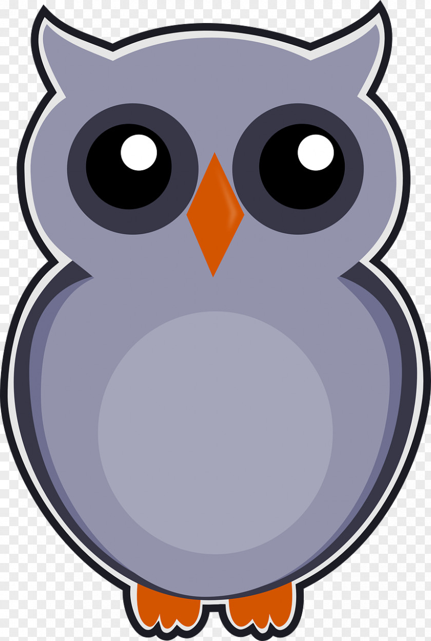 Bird Owl Cartoon Clip Art PNG