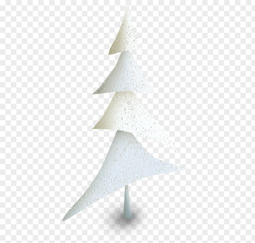 Conifer Pine Family Christmas And New Year Background PNG