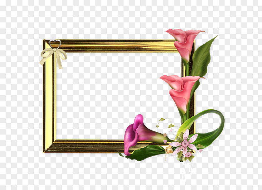 Floral Design PNG