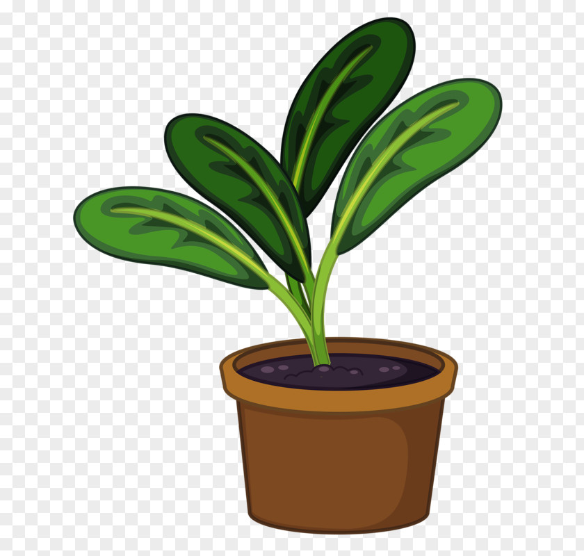Flower Pot Flowerpot Houseplant Clip Art PNG