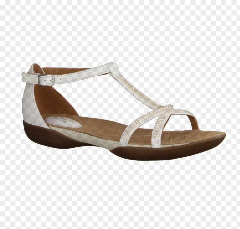Sandal Shoe Walking Pump PNG