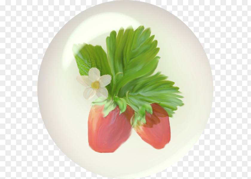 Strawberry Leaf Vegetable Platter Garnish PNG