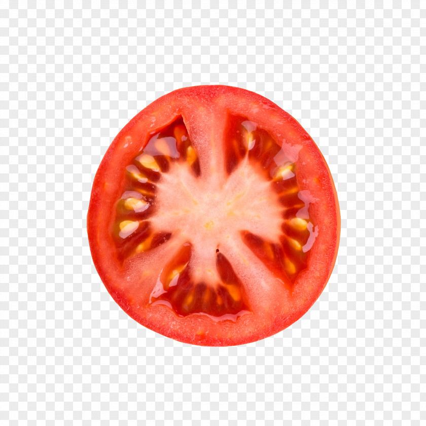 Tomato Pizza Vegetarian Cuisine Vegetable Clip Art PNG