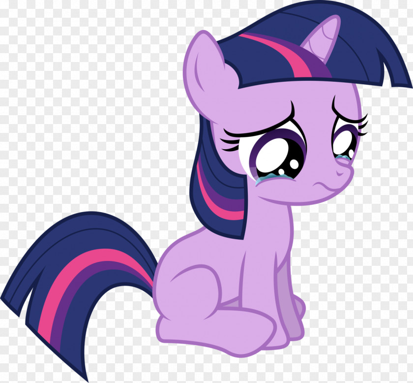 Twilight Sparkle Pony Princess Celestia Rainbow Dash PNG