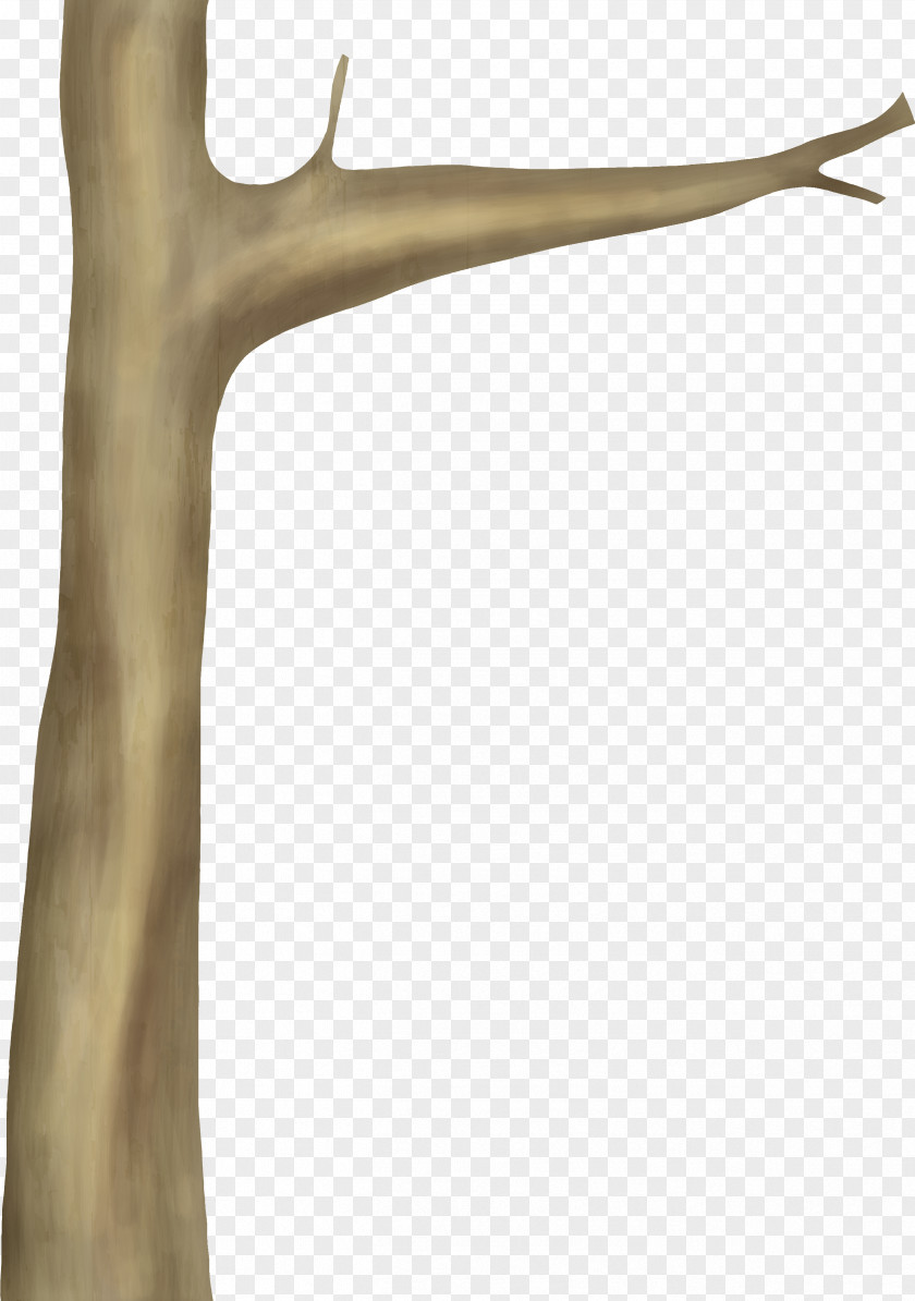 Wood Branch PNG