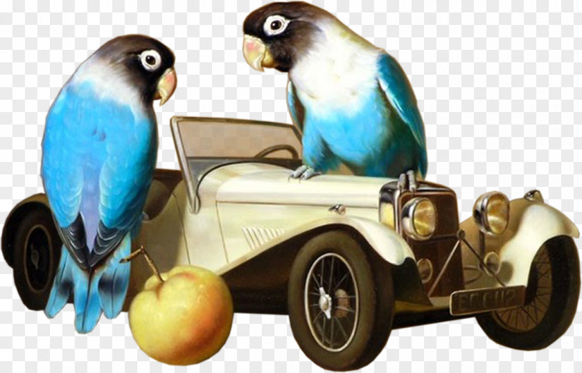 Bird Lovebird Cockatiel Parakeet E-card PNG