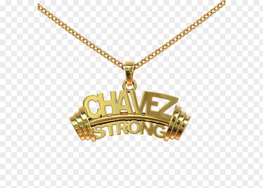 Chavez Locket Charm Bracelet Necklace Silver PNG