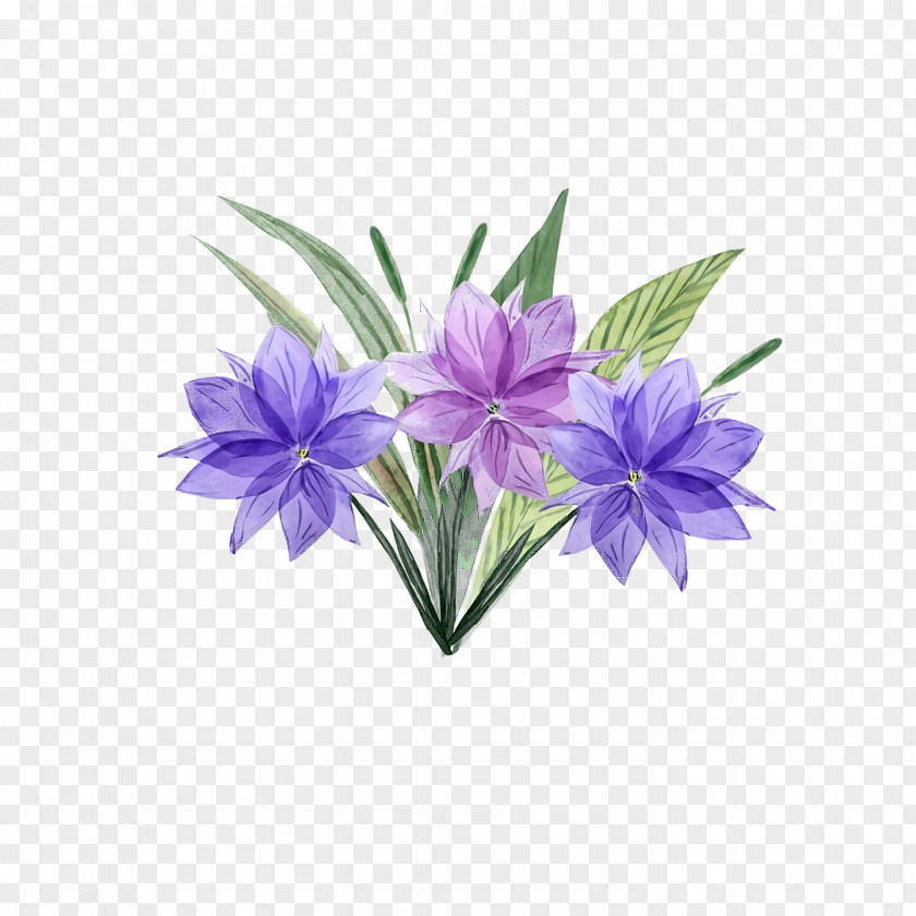 Lavender PNG